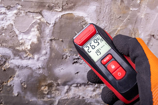 Best Mold Inspection  in Guadalupe, AZ