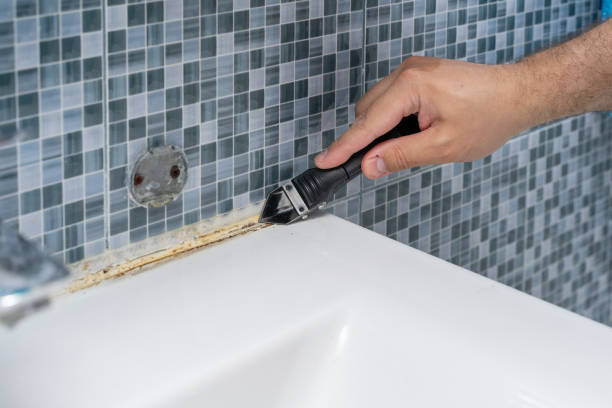 Trusted Guadalupe, AZ Mold Removal Experts